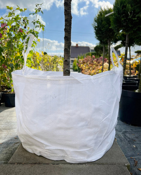 Kontejner 59L 50x30cm BÍLÝ