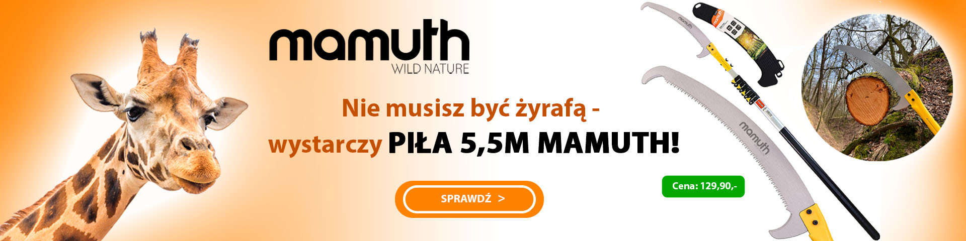 PIŁA MAMUTH