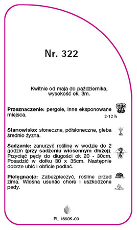 Roza pnaca Nr. 322