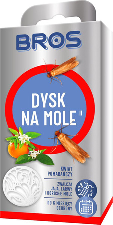 Dysk na mole Pomarańcza Bros