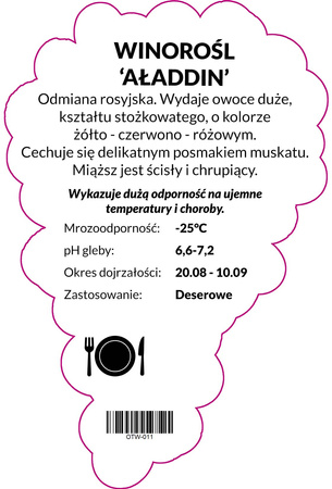 Vinná réva Aloszenkin