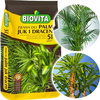 Erde für Yucca und Dracaena Palmen 5L Biovita