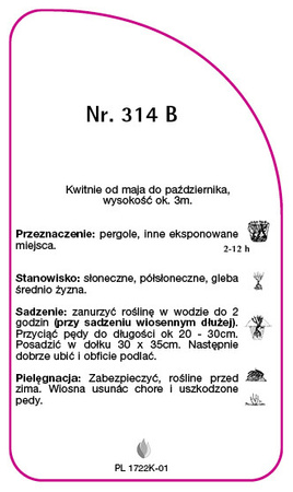 Urcarea trandafirului Nr. 314 B