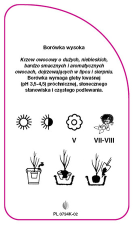 Vaccinium corymbosum 'Puru'