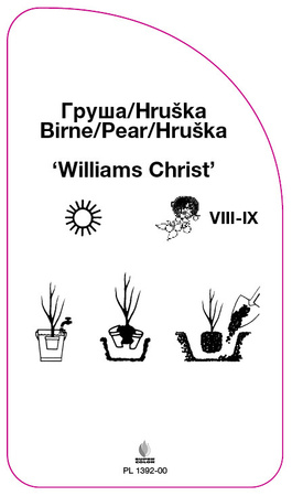 Grusza 'Williams Christ'