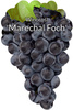 Vinná réva Marechal Foch