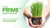 2x Prime 200g + Boric 2kg Dr Green