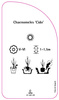 Chaenomeless 'Cido'