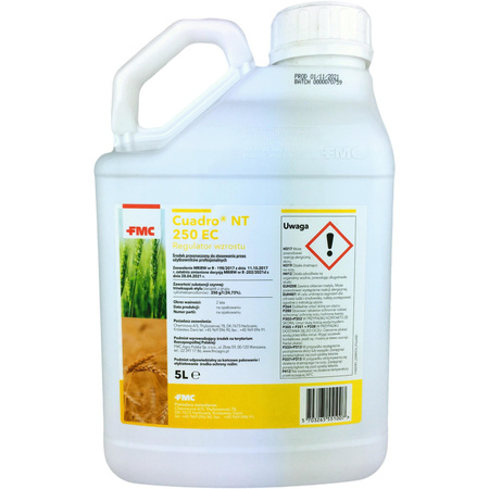 Cuadro NT 250 EC 5L FMC