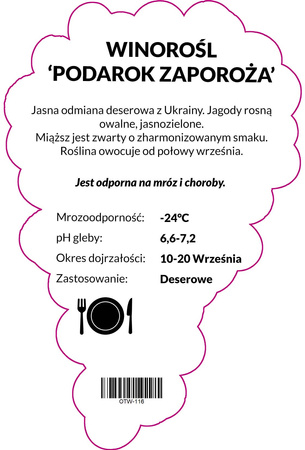 Winorośl Podarok Zaporoża
