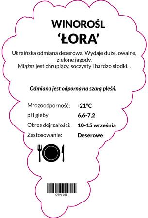 Réva vinná Lora