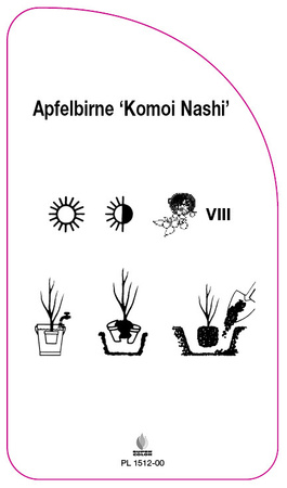 Apfelbirne 'Komoi Nashi'