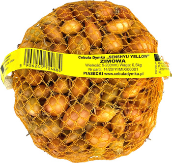 Cebula Dymka Zimowa Senshyu 500g