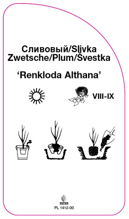 Švestka 'Renkloda Althana'