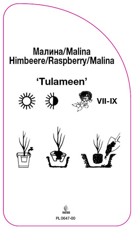 Malina 'Tulameen'