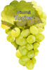 Regina vine