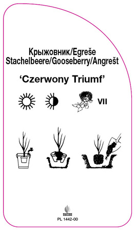 Coacăze "Red Triumph