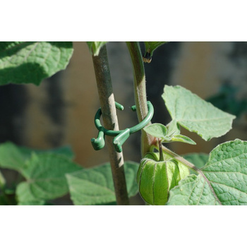 Klips do roślin 25mm 1000szt 1094 REMA