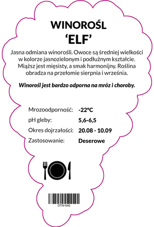 Winorośl Elf