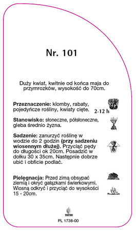 Sleva růže č. 101