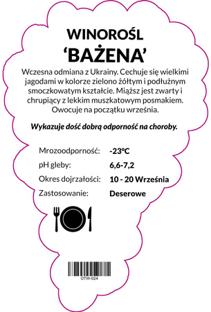 Viță de vie de fazan