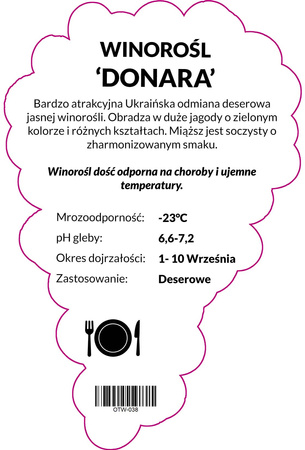 Winorośl Donara