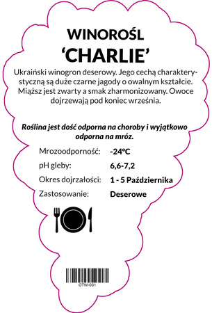 Winorośl Charlie