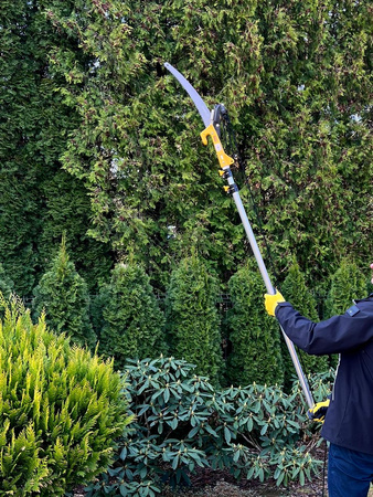 Sekator i piła ogrodnicza ZV375 MAMUTH