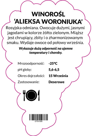 Vinice Aliekse Voroniuka