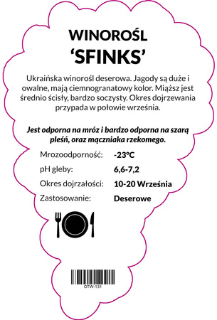 Winorośl Sfinks