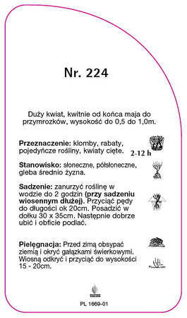 Velkokvětá růže č. 224