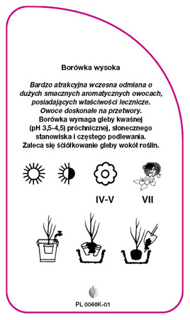 Vaccinium corymbosum 'Polaris'