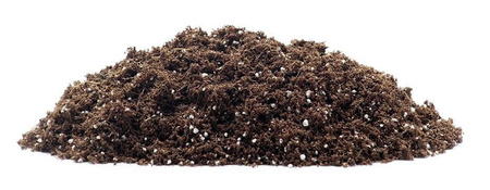 Substrat Kokos do ukorzeniania liściastych 70L Ceres