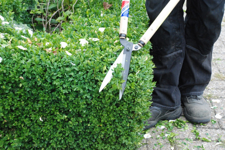 Trimmer pentru gard viu 205 OKATSUNE