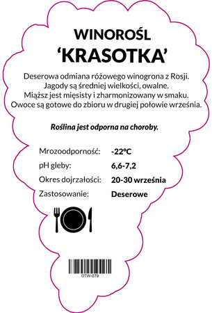 Réva vinná Krasotka