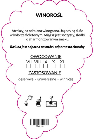 Winorośl Fioletowa blank