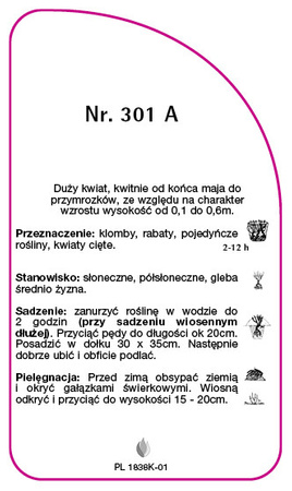 Roza okrywowa Nr. 301 B
