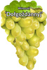 Winorośl Dołgożdannyj