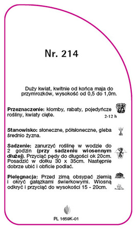 Trandafir cu flori mari Nr. 214