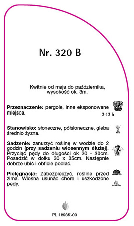 Urcarea trandafirului Nr. 320 B