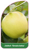 Jablon 'Smalcowka'