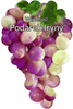 Irina's Gift Vine