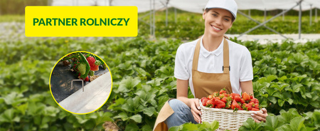 Kovový U-kolík 20cm 100ks MAMUTH