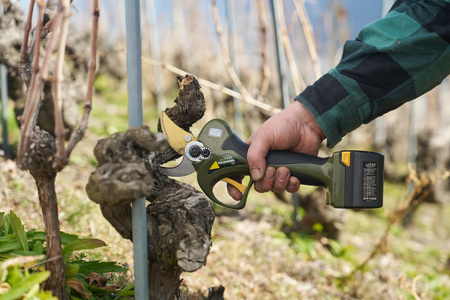 Schnurlose Elektroschere mit 2 Akkus WILDHORN 32 ALPEN