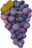 Winorośl Venus