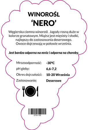 Winorośl Nero