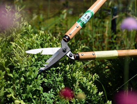 Nůžky na živý plot 204 OKATSUNE