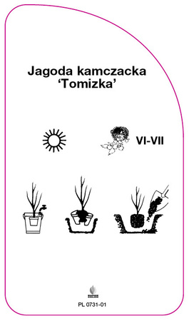 Kamčatské bobule 'Tomichka'