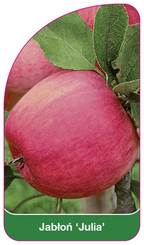 Măr 'Julia'