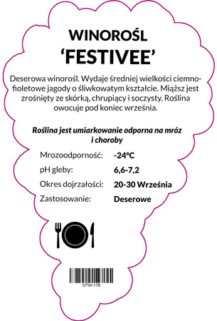 Slavnostní vinná réva